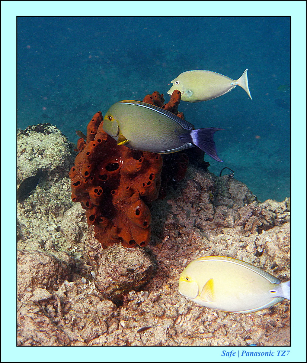 2012 - 07 - Gili - 76